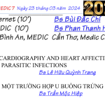 Chương trình sinh hoạt KHKT Medic 7 – Ngày 23/03/2024 (Online)