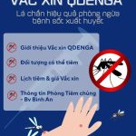 Vắc xin QDENGA – Lá chắn hiệu quả phòng ngừa bệnh sốt xuất huyết.