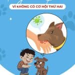 Bệnh dại – Đừng chủ quan, vì không có cơ hội thứ hai!